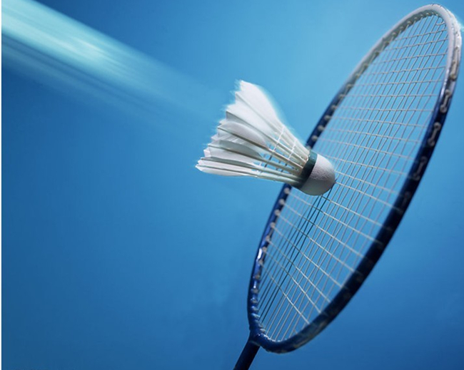 赛季的总薪 赛季的总薪